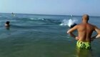 Дельфин бросил рыбу в туристку на берегу Черного моря
