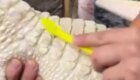 Доставка балдежей: аллигатору-альбиносу чешут спинку
