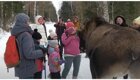 Лось атаковал девочку и женщину в челябинском национальном парке
