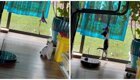 Котёнок пытается добраться до неуловимой игрушки на роботе-пылесосе