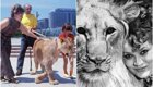 Трагическая история семьи Берберовых, которая жила со львом