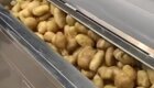 Как чистят картофель в промышленных масштабах