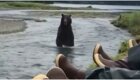 Отдых на природе в компании медведя