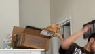 Неудачное нападение кота на хозяина из засады