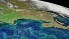 Спутник показал, как водоросли захватывают планету