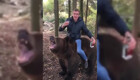 Веселое видео пьяного россиянина, сидящего верхом на медведе