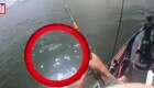 Рыбак едва не погиб, поймав на крючок акулу
