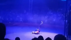 В Барнауле артистка цирка сорвалась с трапеции и упала на арену