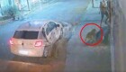 В Бразилии полицейский несколько раз выстрелил в бегущую в его сторону собаку