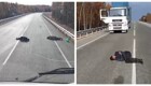 Неожиданная находка на дороге удивила водителя грузовика