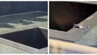 Мужчина прыгнул в бассейн мемориала жертвам 11 сентября в США