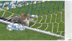 Кот решил отдохнуть в футбольных воротах во время матча