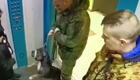 В Краснодаре бойцовская собака накинулась на ребёнка в лифте и укусила его за лицо