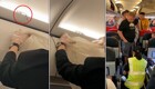Змея пробралась в самолёт и напугала пассажиров