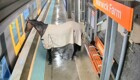 В Австралии сбежавшая лошадь пришла на железнодорожную станцию
