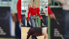 Смешное и странное соревнование по выпасу свиней в США