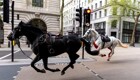 В Лондоне лошади сбросили с себя гвардейцев и отправились носиться по городу