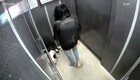 В Красноярске девушка избила своего пса в лифте