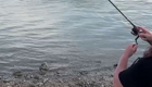 Крокодилу приглянулся улов рыбака