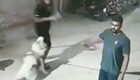 Прохожие избили мужчину, который не следил за своей собакой