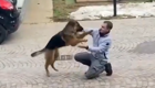Собака встречает хозяина после долгой разлуки