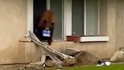 В Калифорнии медведь проник в дом и украл печенье