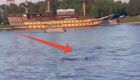 В Великом Новгороде четыре индийских студента утонули, не справившись с течением реки