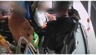 В Москве конфликт из-за собачьего намордника в автобусе закончился потасовкой