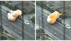 Самое милое ДТП. Огромный корги катится по дороге