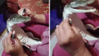 Самый счастливый крокодил в мире