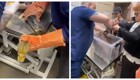 Побег не удался: ветеринары спасли питона, застрявшего в кольце от светильника