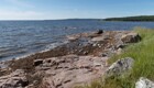 На Белом море подошла селедочка
