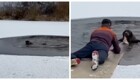 Герой на льду: мужчина вытащил собаку из воды в Тюмени