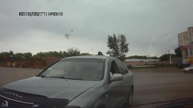 Олень за рулем