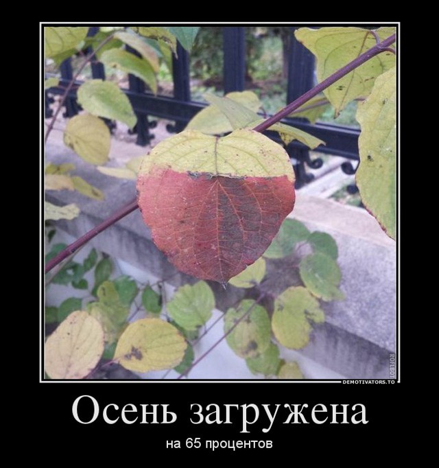 Демотиваторы