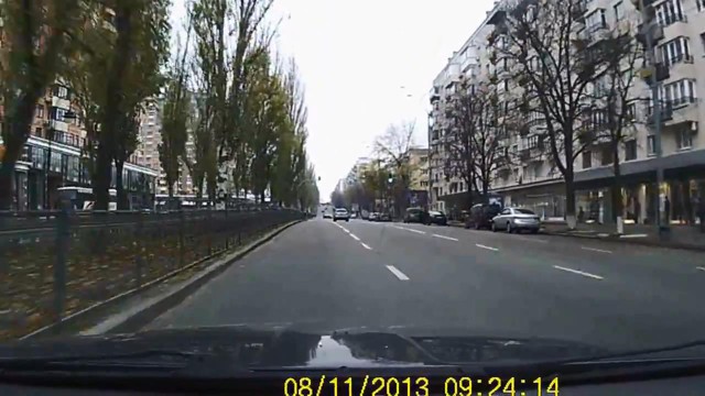 Кара леворядника