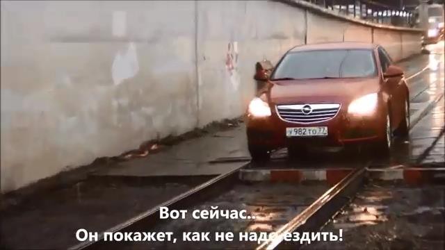 Опелюшко-низкое брюшко 