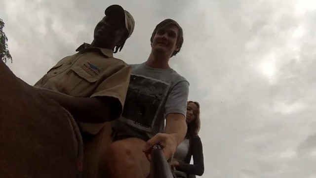 Слон вернул упавшую камеру 