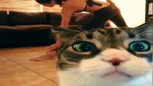 Лучшие фейлы 2014 года