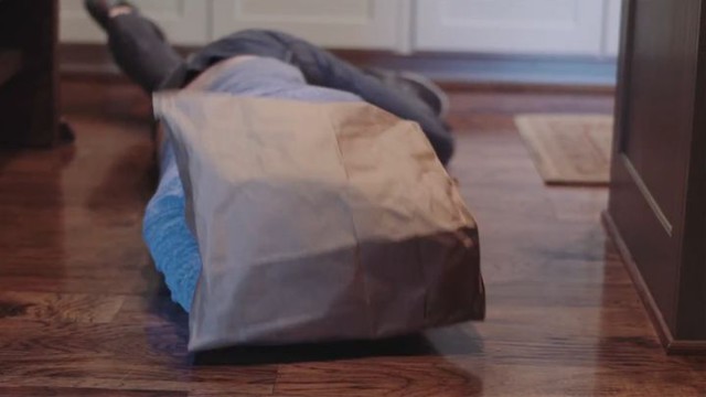 Вещи, которые вы не можете делать, если вы не кот 