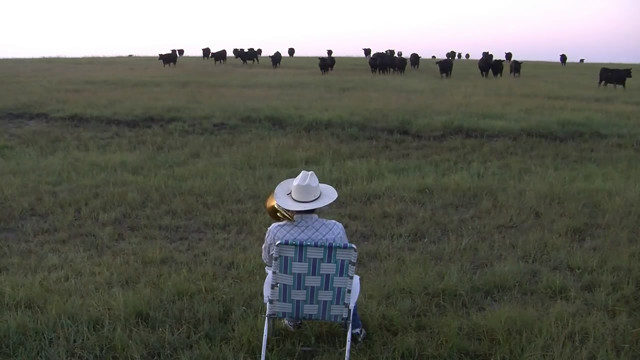 Коровы тоже любят музыку