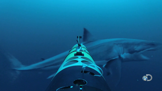 Нападение акулы на камеру