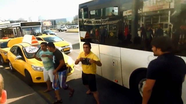 СтопХам - Животное