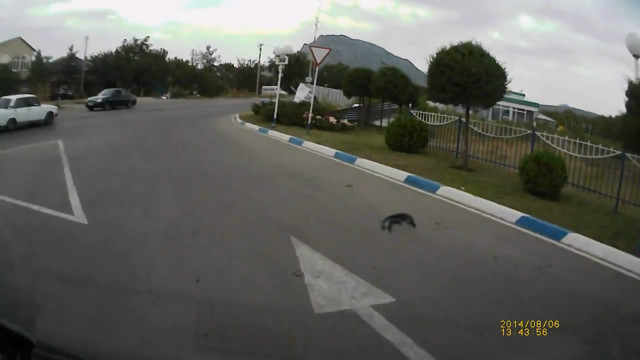 Столкнулись на выезде с АЗС