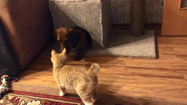 Война за жилплощадь