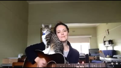 Кот любит песни под гитару