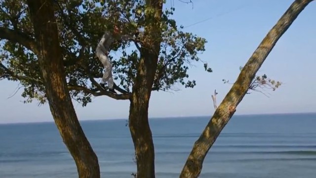 Лучшие фейлы прошедшей недели