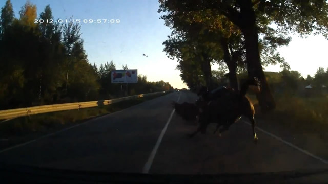 Мои мысли - мои скакуны