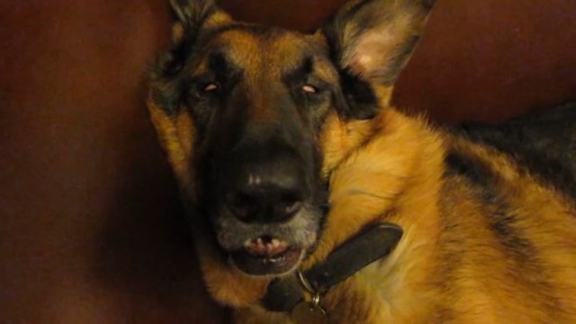 Сладкий сон с пробуждением