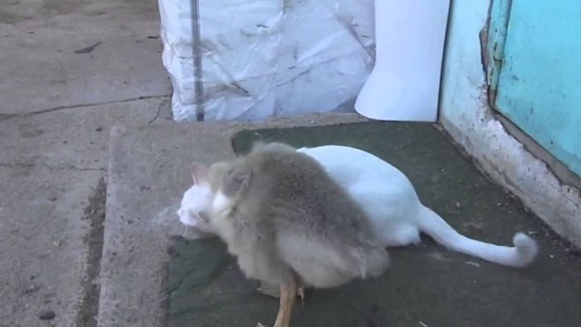 Обхохотаться можно 